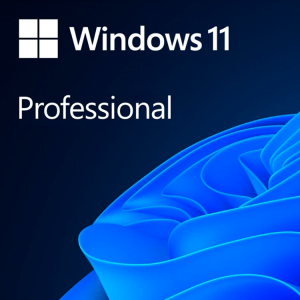 Windows 11 Pro ESD